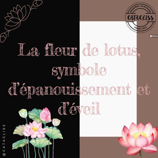 La fleur de lotus, symbole d’épanouissement et d’éveil
