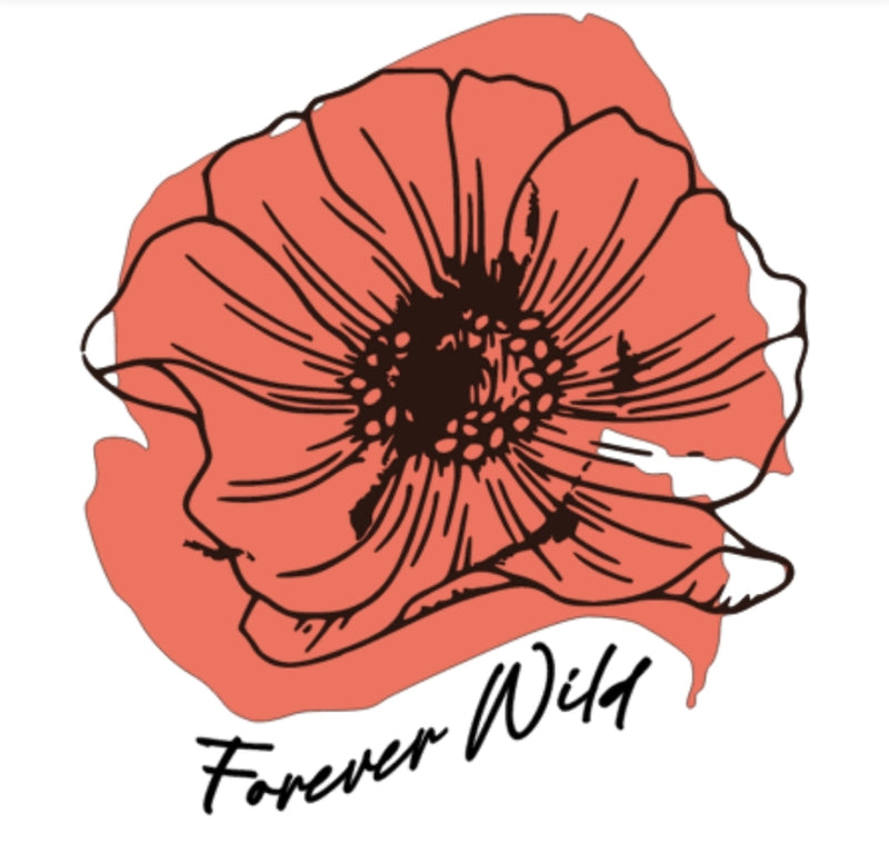 Lunch Bag écoresponsable en coton bio – Catacliss